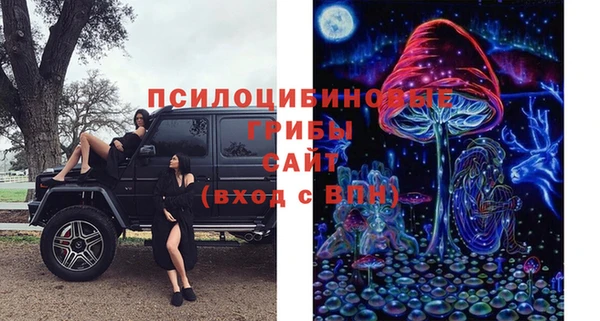 шишки Шарыпово