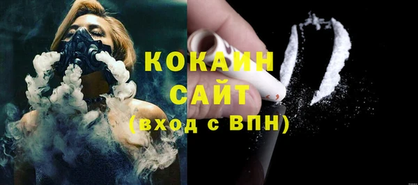 шишки Шарыпово