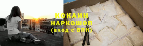 соль ск Шадринск