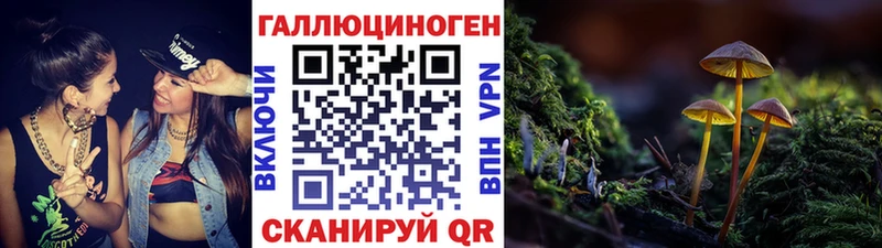 OMG рабочий сайт  Черноголовка  Галлюциногенные грибы MAGIC MUSHROOMS 